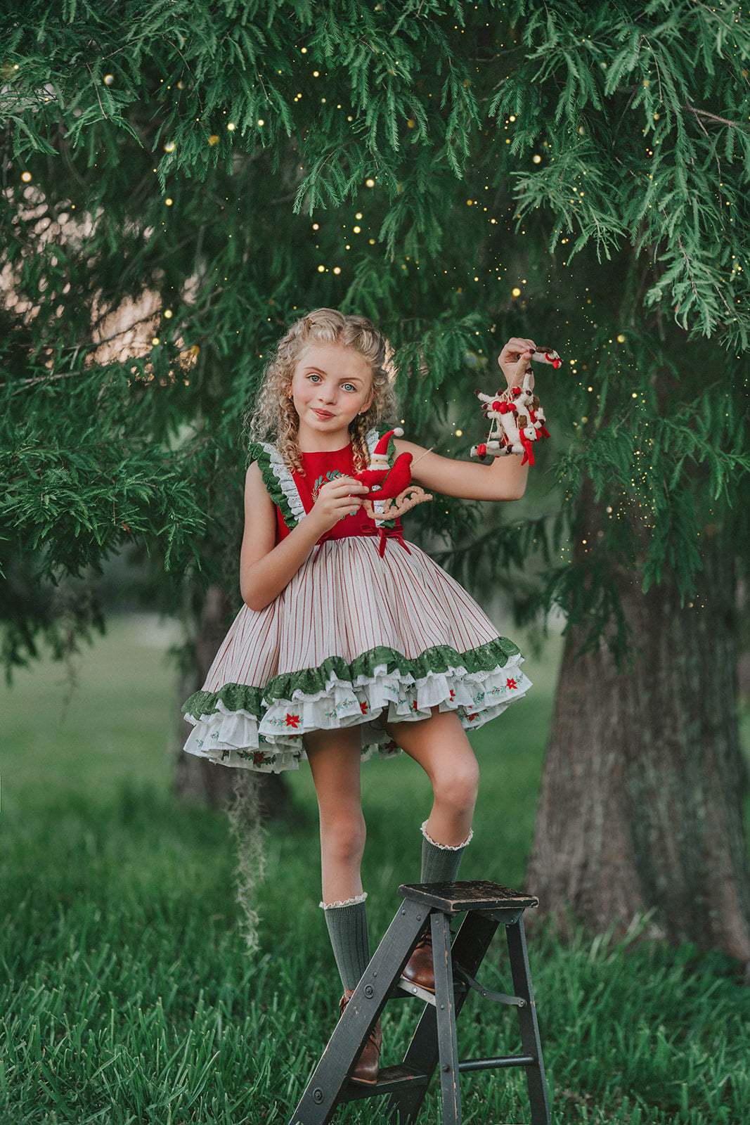 The Kensington Noel Pettiskirt Dress - PREORDER