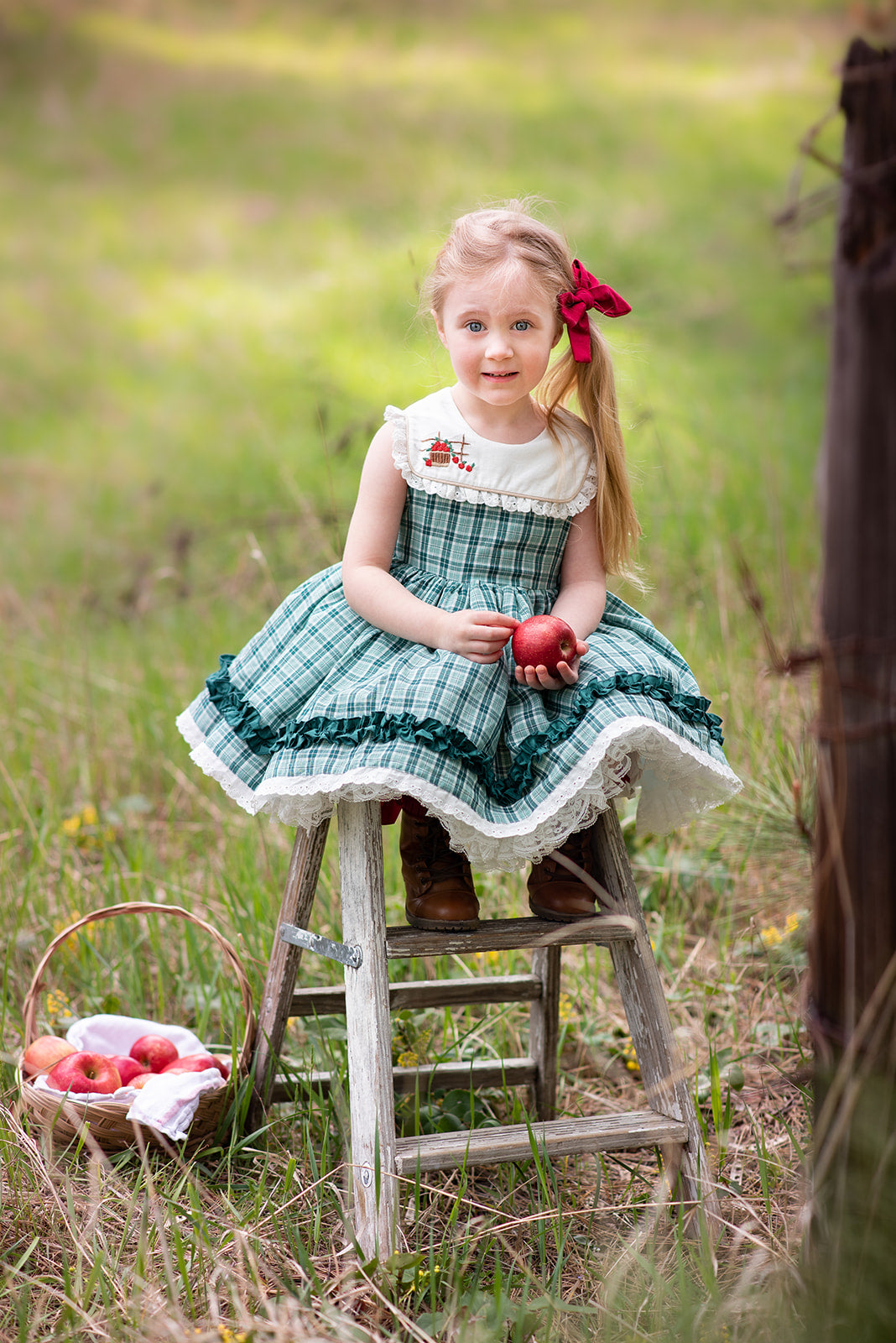 Homegrown Pettiskirt dress READY TO SHIP