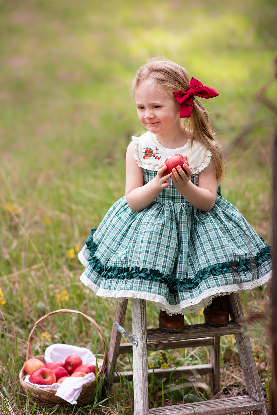 Homegrown Pettiskirt dress READY TO SHIP