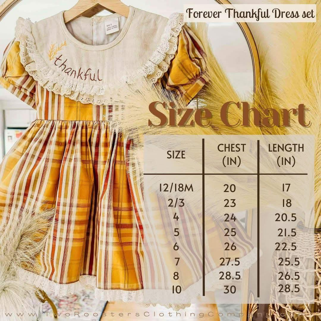 Forever Thankful Vintage Dress and Bloomers