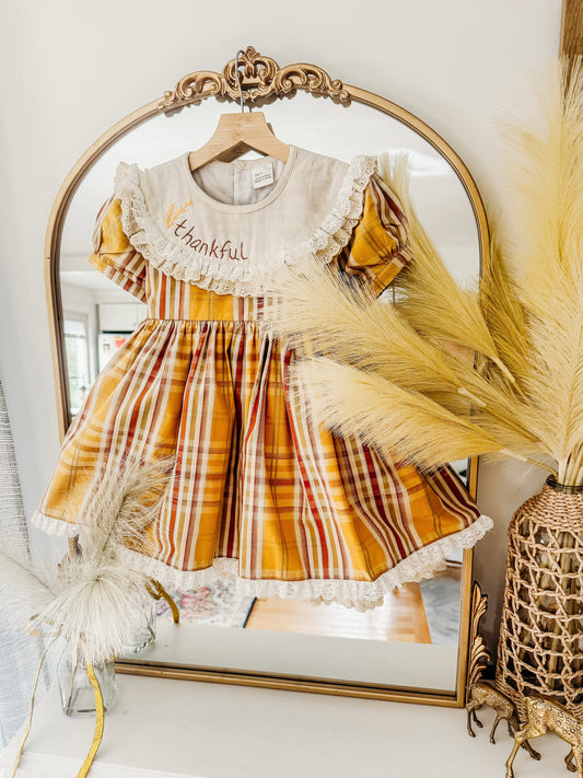 Forever Thankful Vintage Dress and Bloomers