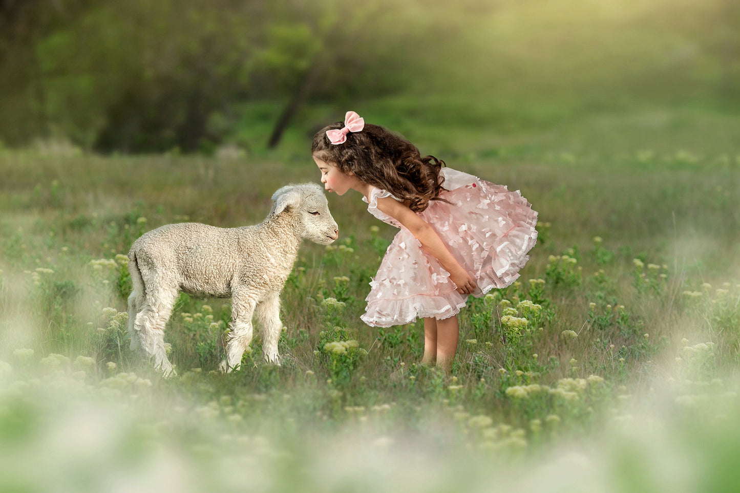 Lola's Little Lamb Pettiskirt Dress - PREORDER