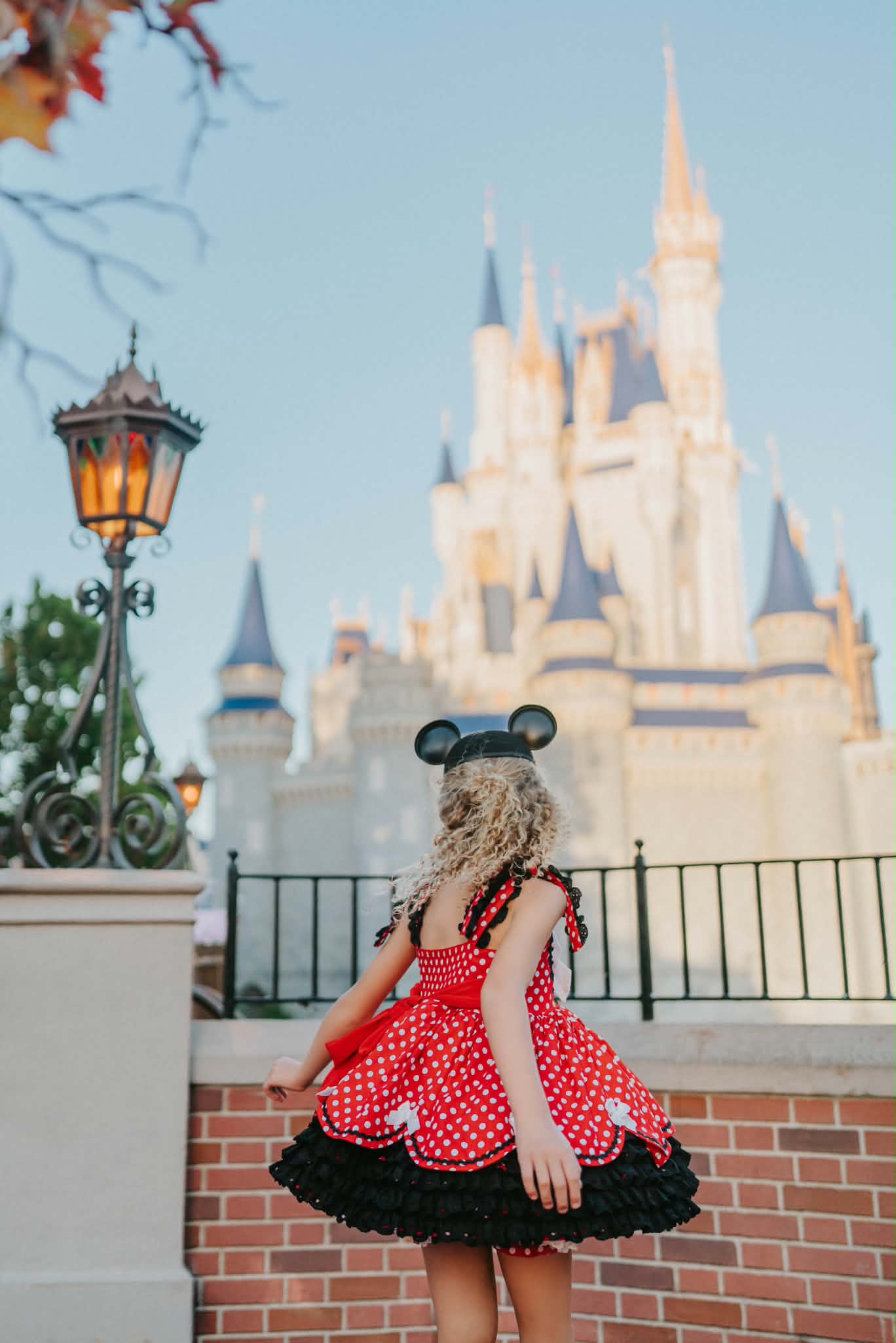 Polka Dot Party Dress and Blooms - PREORDER