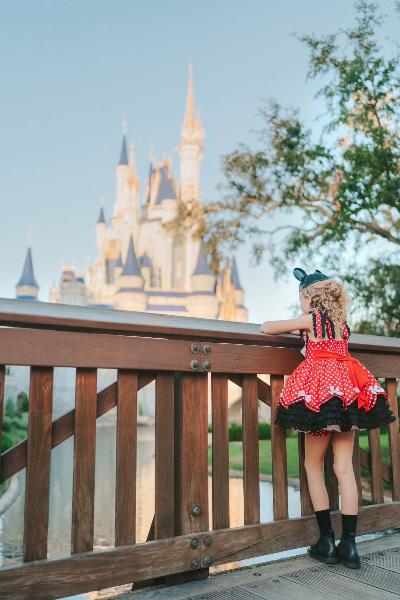 Polka Dot Party Dress and Blooms - PREORDER