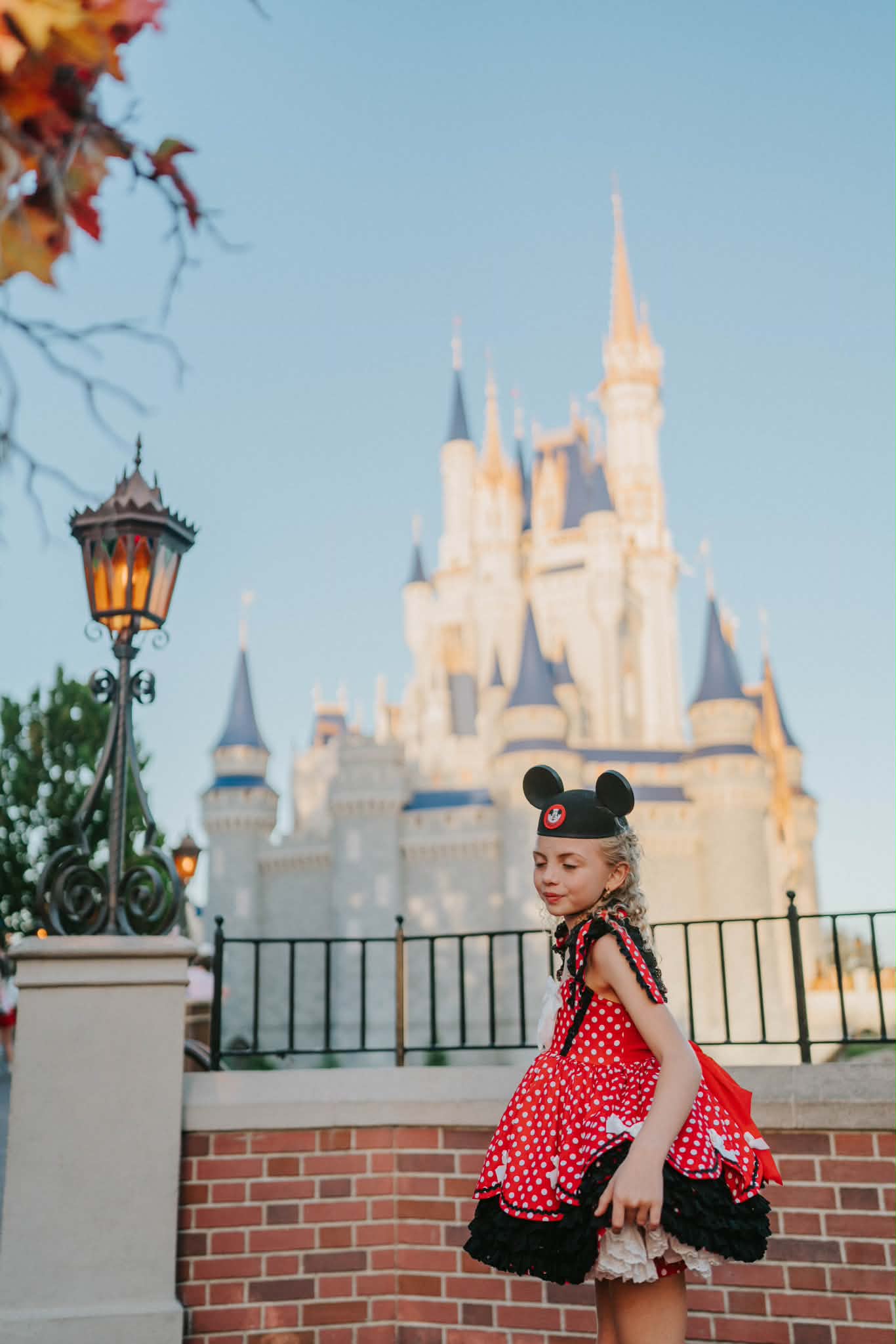Polka Dot Party Dress and Blooms - PREORDER