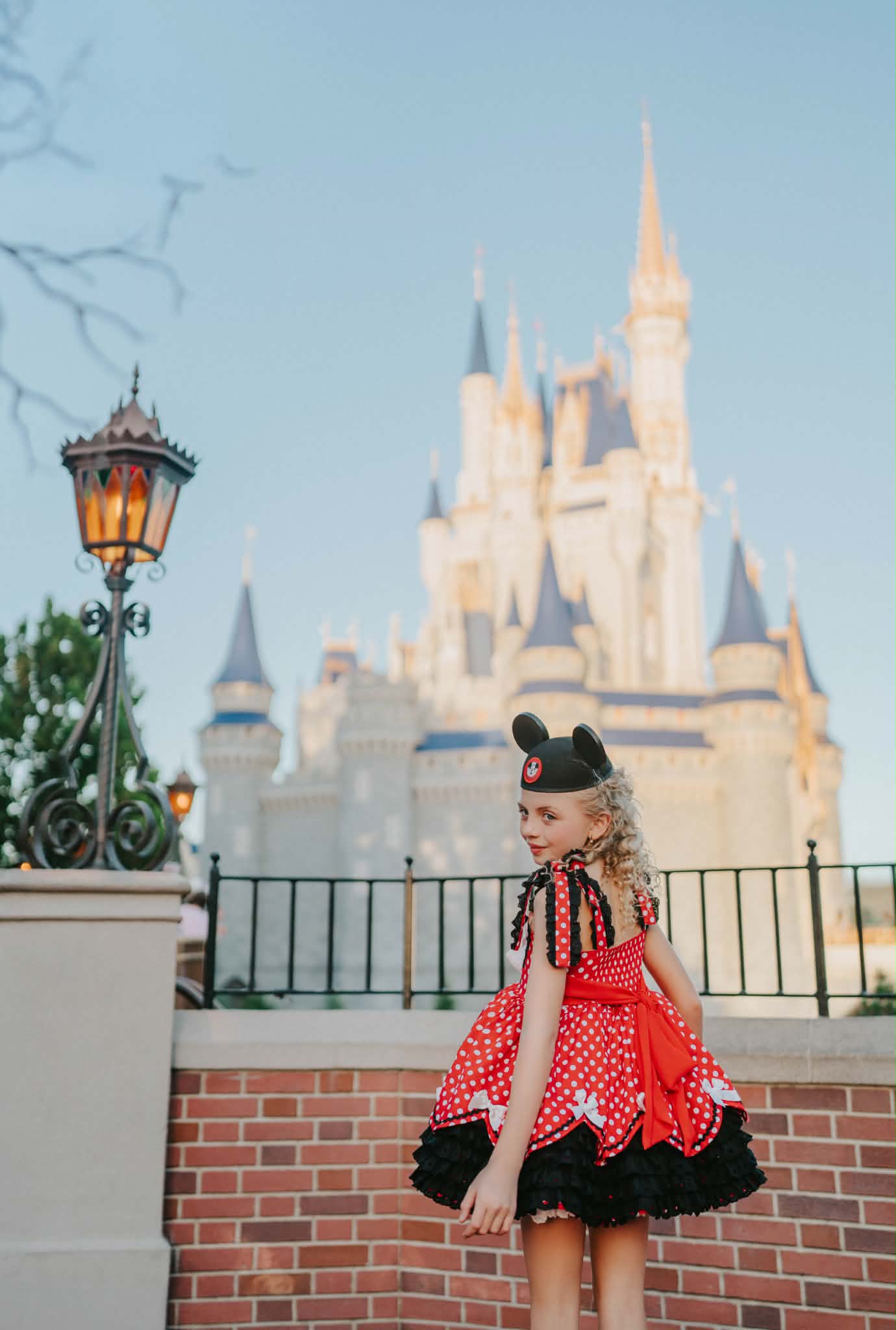 Polka Dot Party Dress and Blooms - PREORDER