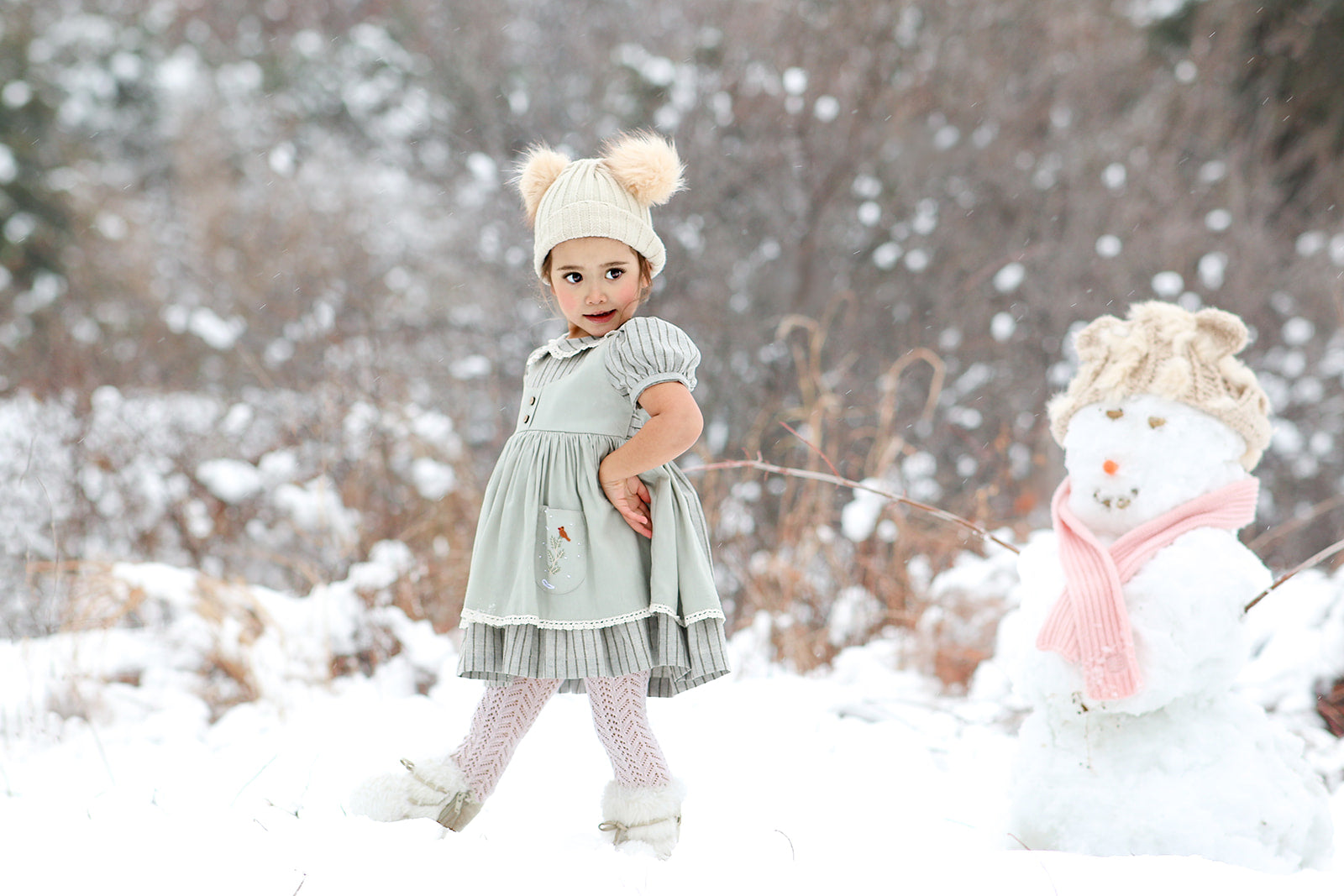 Winter Wonderland Dress – tworoostersclothingcompany